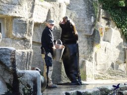 Tiergarten Schönbrunn 16.10.2024